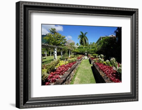 Nevis Botanical Garden, Nevis, St. Kitts and Nevis-Robert Harding-Framed Photographic Print