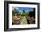 Nevis Botanical Garden, Nevis, St. Kitts and Nevis-Robert Harding-Framed Photographic Print