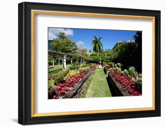 Nevis Botanical Garden, Nevis, St. Kitts and Nevis-Robert Harding-Framed Photographic Print