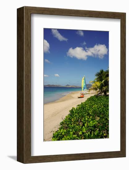 Nevis, St. Kitts and Nevis, Leeward Islands, West Indies, Caribbean, Central America-Robert Harding-Framed Photographic Print