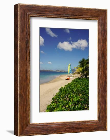 Nevis, St. Kitts and Nevis, Leeward Islands, West Indies, Caribbean, Central America-Robert Harding-Framed Photographic Print