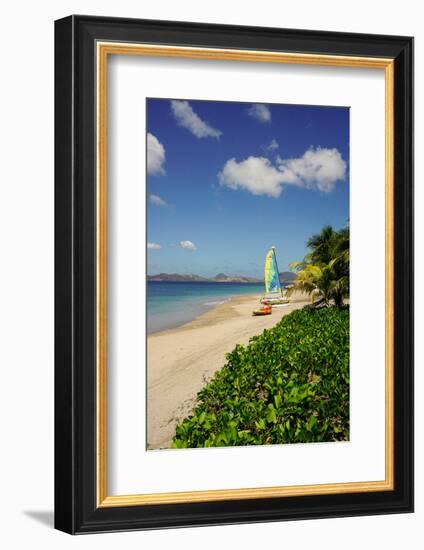 Nevis, St. Kitts and Nevis, Leeward Islands, West Indies, Caribbean, Central America-Robert Harding-Framed Photographic Print