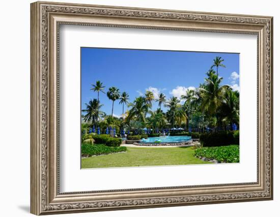 Nevis, St. Kitts and Nevis, Leeward Islands, West Indies, Caribbean, Central America-Robert Harding-Framed Photographic Print