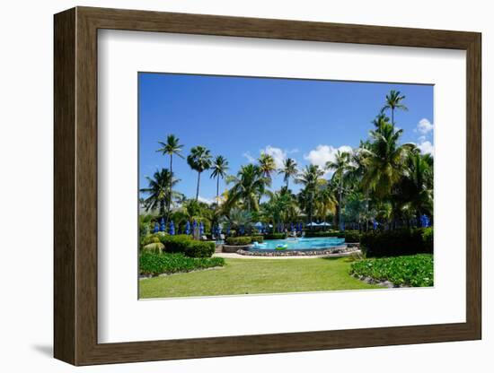 Nevis, St. Kitts and Nevis, Leeward Islands, West Indies, Caribbean, Central America-Robert Harding-Framed Photographic Print