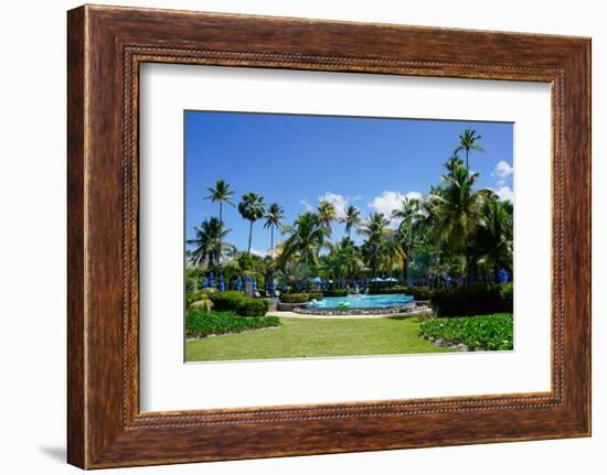 Nevis, St. Kitts and Nevis, Leeward Islands, West Indies, Caribbean, Central America-Robert Harding-Framed Photographic Print