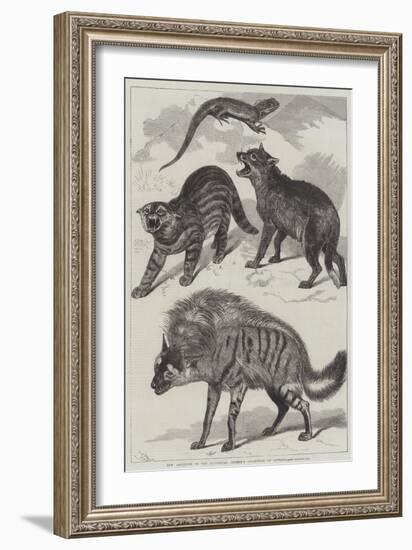 New Additions to the Zoological Society's Collection of Animals-Friedrich Wilhelm Keyl-Framed Giclee Print