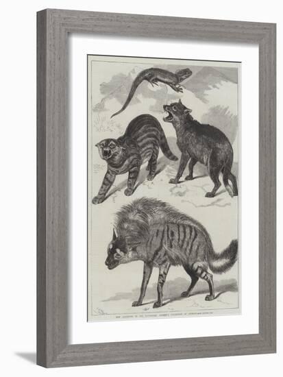 New Additions to the Zoological Society's Collection of Animals-Friedrich Wilhelm Keyl-Framed Giclee Print