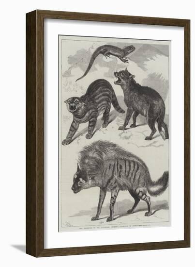 New Additions to the Zoological Society's Collection of Animals-Friedrich Wilhelm Keyl-Framed Giclee Print