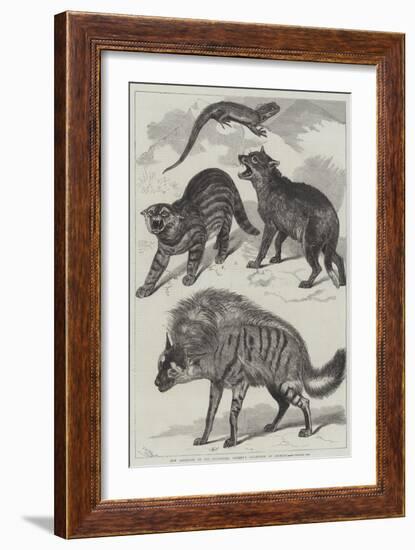 New Additions to the Zoological Society's Collection of Animals-Friedrich Wilhelm Keyl-Framed Giclee Print