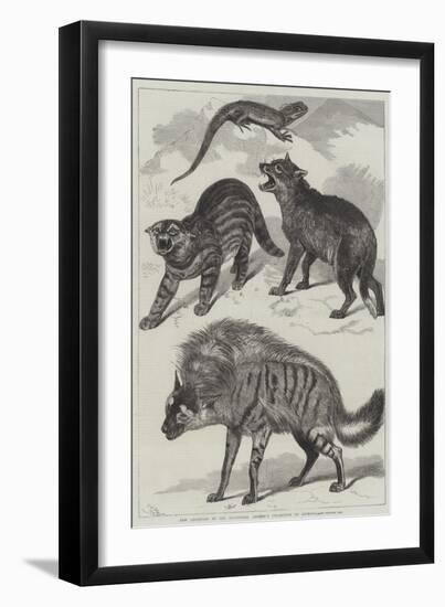 New Additions to the Zoological Society's Collection of Animals-Friedrich Wilhelm Keyl-Framed Giclee Print