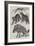 New Additions to the Zoological Society's Collection of Animals-Friedrich Wilhelm Keyl-Framed Giclee Print