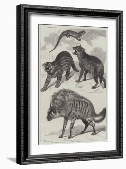 New Additions to the Zoological Society's Collection of Animals-Friedrich Wilhelm Keyl-Framed Giclee Print