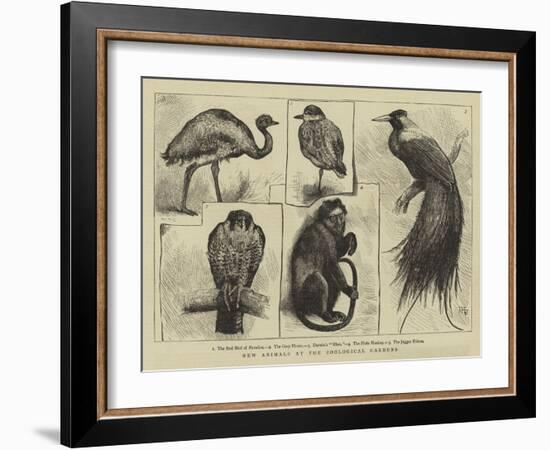 New Animals at Zoological Gardens-Harry Hamilton Johnston-Framed Giclee Print