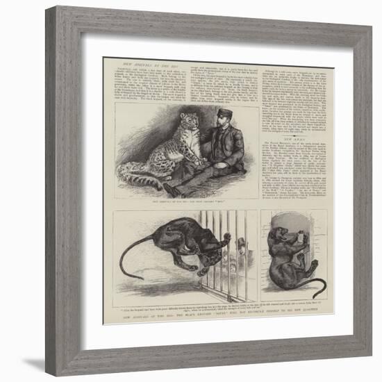 New Arrivals at the Zoo-null-Framed Giclee Print