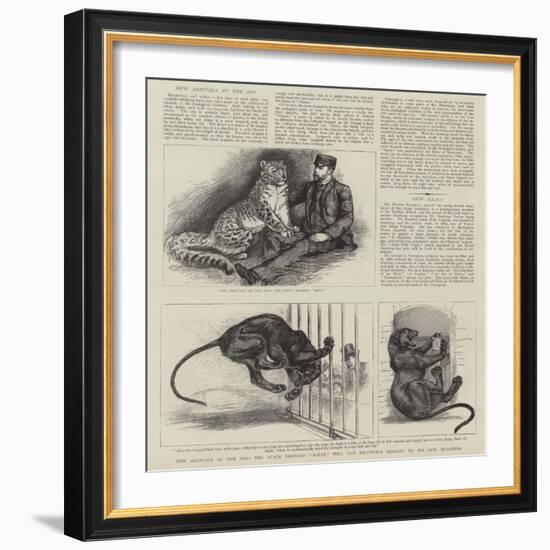 New Arrivals at the Zoo-null-Framed Giclee Print