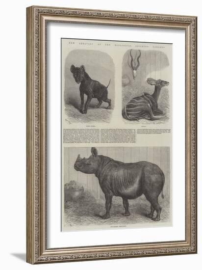 New Arrivals at the Zoological Society's Gardens-Friedrich Wilhelm Keyl-Framed Giclee Print