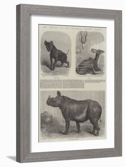 New Arrivals at the Zoological Society's Gardens-Friedrich Wilhelm Keyl-Framed Giclee Print