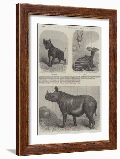 New Arrivals at the Zoological Society's Gardens-Friedrich Wilhelm Keyl-Framed Giclee Print