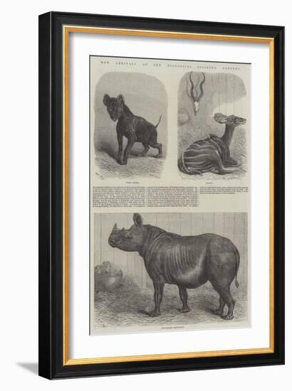 New Arrivals at the Zoological Society's Gardens-Friedrich Wilhelm Keyl-Framed Giclee Print