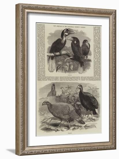 New Arrivals at the Zoological Society's Gardens-Thomas W. Wood-Framed Giclee Print