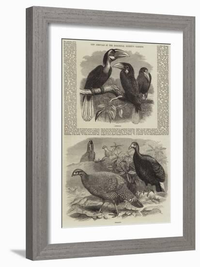 New Arrivals at the Zoological Society's Gardens-Thomas W. Wood-Framed Giclee Print