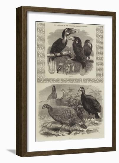 New Arrivals at the Zoological Society's Gardens-Thomas W. Wood-Framed Giclee Print