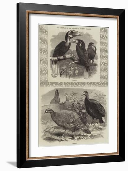 New Arrivals at the Zoological Society's Gardens-Thomas W. Wood-Framed Giclee Print