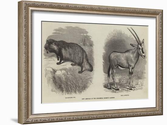 New Arrivals at the Zoological Society's Gardens-Thomas W. Wood-Framed Giclee Print