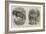 New Arrivals at the Zoological Society's Gardens-Thomas W. Wood-Framed Giclee Print