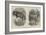 New Arrivals at the Zoological Society's Gardens-Thomas W. Wood-Framed Giclee Print