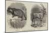 New Arrivals at the Zoological Society's Gardens-Thomas W. Wood-Mounted Giclee Print