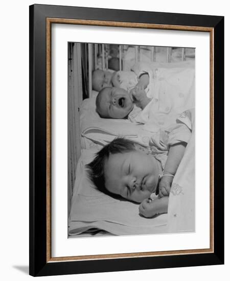 New Babies Filling the Maternity Wards of the Hospitals-Nina Leen-Framed Photographic Print