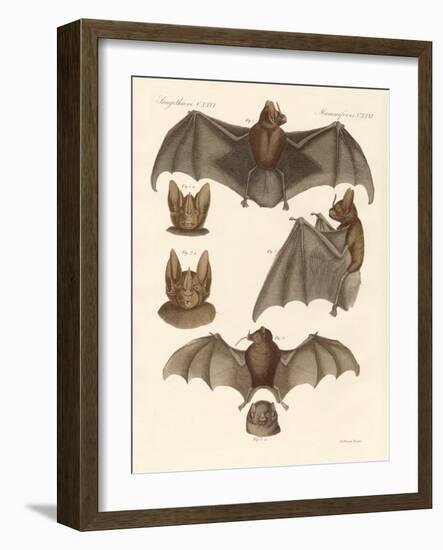 New Bats-null-Framed Giclee Print