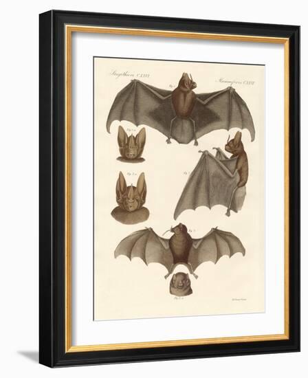 New Bats-null-Framed Giclee Print