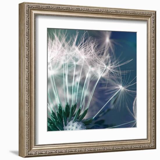 New Beginning II-null-Framed Art Print