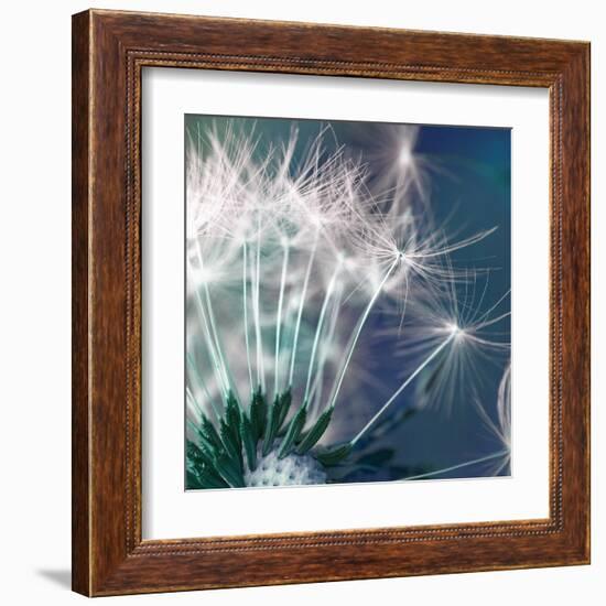 New Beginning II-null-Framed Art Print