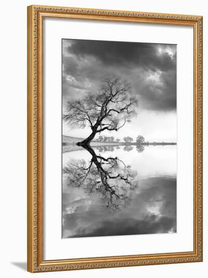 New Beginning Reflect-Moises Levy-Framed Photographic Print