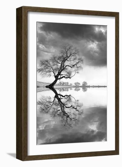 New Beginning Reflect-Moises Levy-Framed Photographic Print