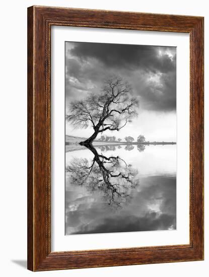 New Beginning Reflect-Moises Levy-Framed Photographic Print