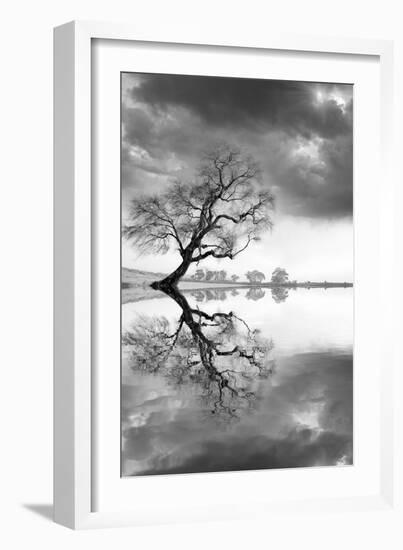 New Beginning Reflect-Moises Levy-Framed Photographic Print