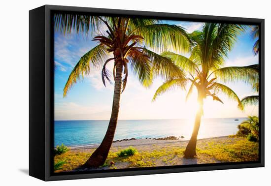 New Bimini-Susan Bryant-Framed Premier Image Canvas