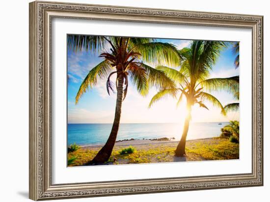 New Bimini-Susan Bryant-Framed Photographic Print