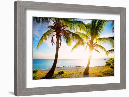 New Bimini-Susan Bryant-Framed Photographic Print