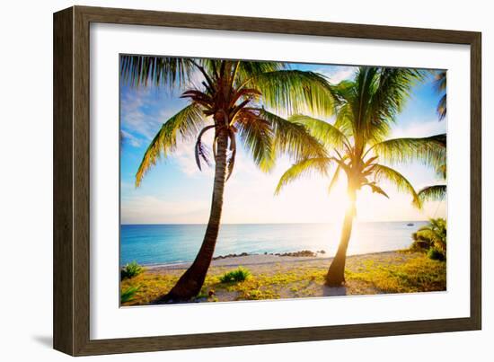 New Bimini-Susan Bryant-Framed Photographic Print