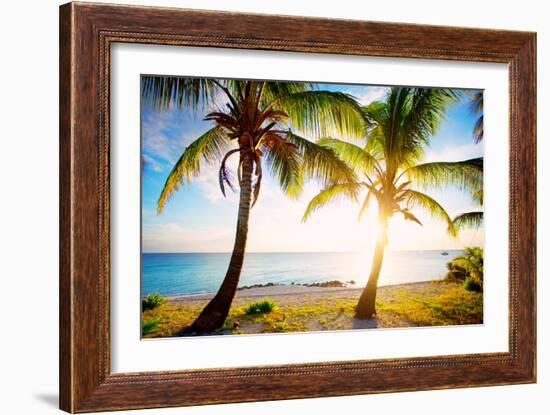 New Bimini-Susan Bryant-Framed Photographic Print