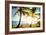 New Bimini-Susan Bryant-Framed Photographic Print