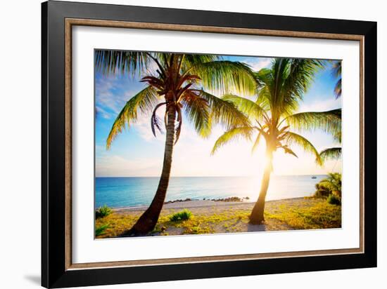 New Bimini-Susan Bryant-Framed Photographic Print