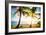 New Bimini-Susan Bryant-Framed Photographic Print