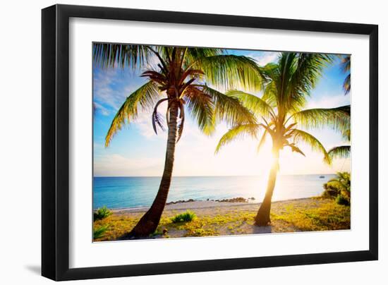 New Bimini-Susan Bryant-Framed Photographic Print