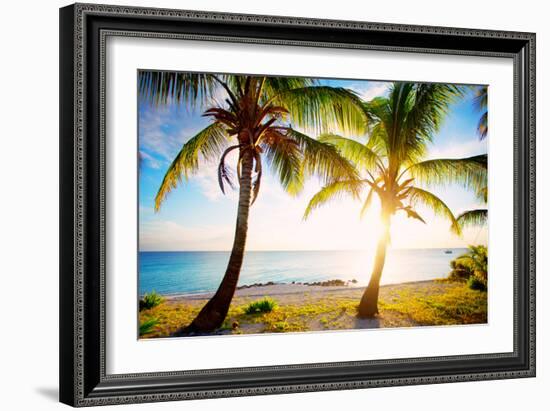 New Bimini-Susan Bryant-Framed Photographic Print